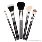 Sigma face makeup brush kit